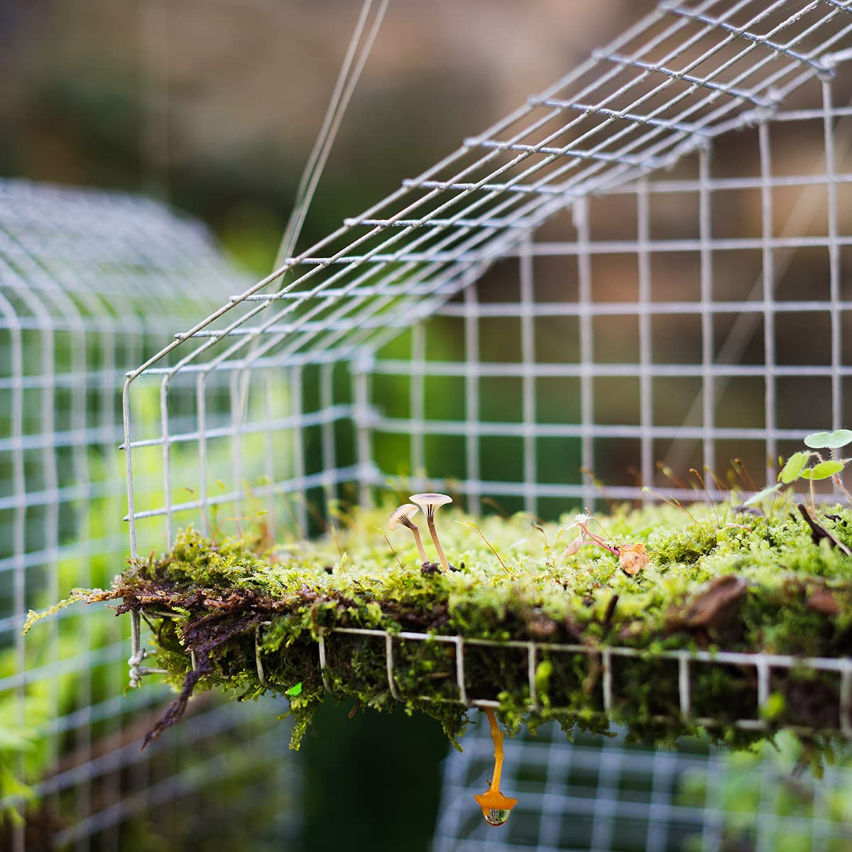 48'' x 50' 1/4 inch Hardware Cloth, 23 Gauge Square Galvanized Chicken Wire - Image 2